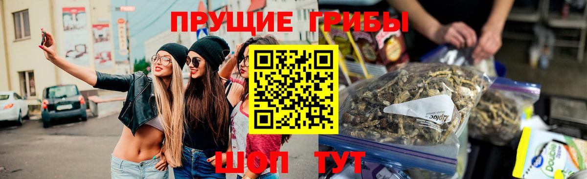 Сальск  Псилоцибиновые грибы Cubensis  Вход с VPN 