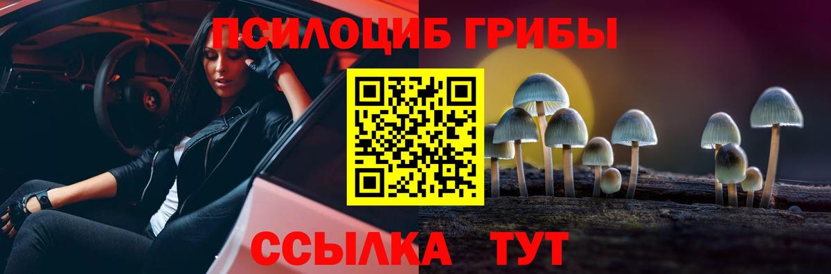 Галлюциногенные грибы Cubensis Сальск