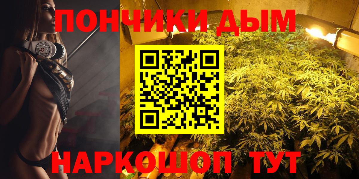 Конопля гибрид  Шишки марихуана семена  Вход с VPN  Сальск  Бошки Шишки OG Kush  Бошки марихуана план 